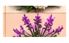 08_verveine