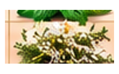 10_thym