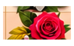 12_rose